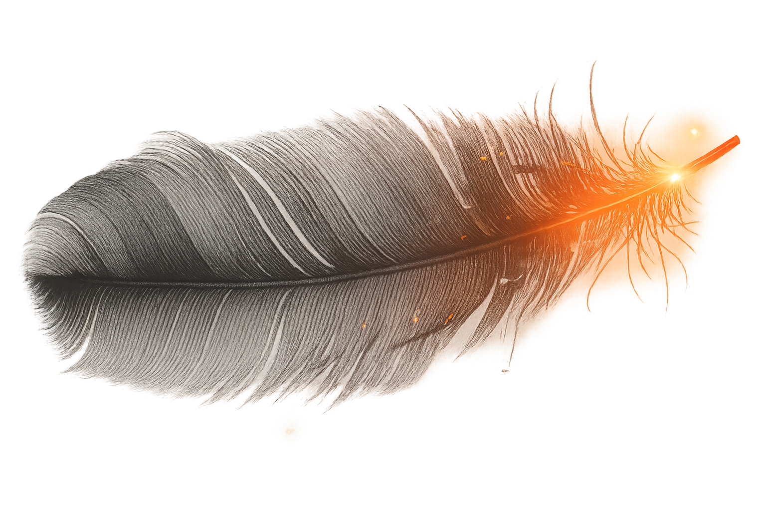 Grey Ink Media Feather