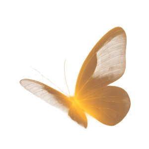 Grey Ink Agency Butterfly2